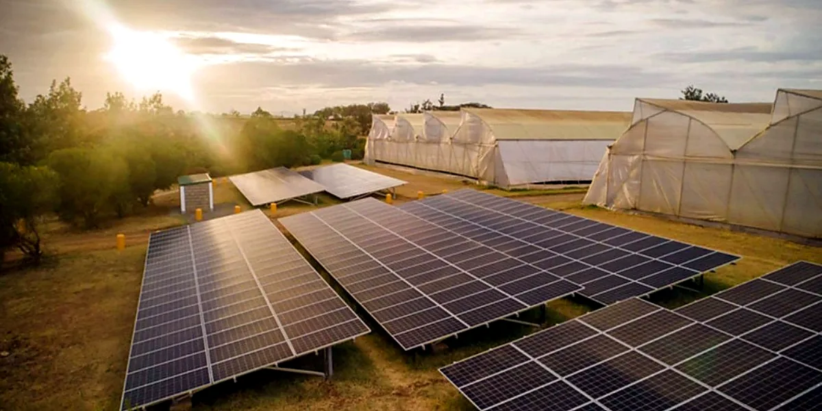 Ground-mounted solar photovoltaic installation on a farm