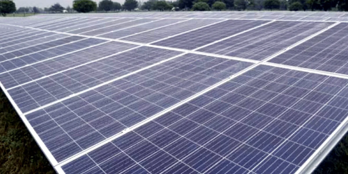 Ground-mounted solar PV system serving a packhouse facility